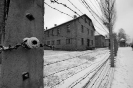 Gianfranco Spatola - Olocausto_18