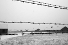 Gianfranco Spatola - Olocausto_33