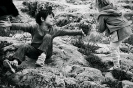 Luisa Vazquez - Travels_13