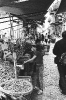 Massimo Francese - BN_2