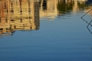 Massimo Francese - palermo_reflexa_13