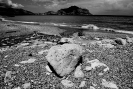 Oreto Bandita 2014_10