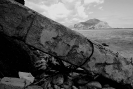 Oreto Bandita 2014_14