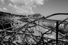 Oreto Bandita 2014_6