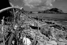 Oreto Bandita 2014_7