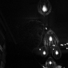 Paolo Barbera - NY Berlin_29
