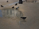 Paris Mon Amour_8