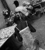 Salvo Cangemi - BN_13