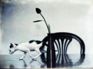 Silvia Andretti - scatti_20
